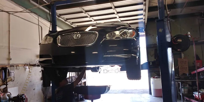 Jaguar on the Lift